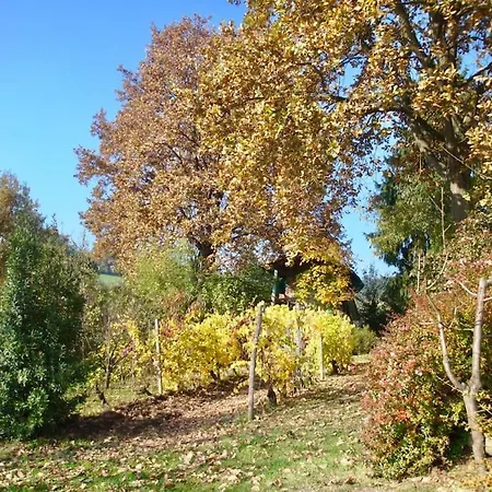 Casa vacanze Il Villino Rosa San Paolo Solbrito